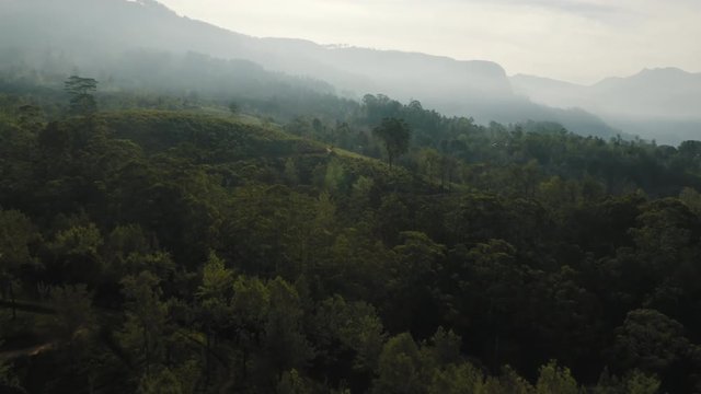 Drone footage over Sri Lanka&rsquo;s beautiful tea plantations.