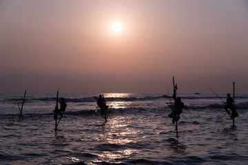 Four Silhouettes of the traditional fishermen at the sunset in Sri Lanka Weligama beach