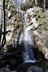 Kaledonia Waterfall Portrait, Troodos, Cyprus - obrazy, fototapety, plakaty