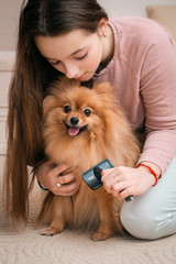 Fototapete bei efototapeten.de bestellen   