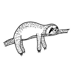 Lazy hand drawn sloth sleeping on a tree branch. Hand drawn, doodle style. - 261205127