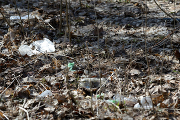 Garbage in the spring forest. The problem of ecology and pollution of nature