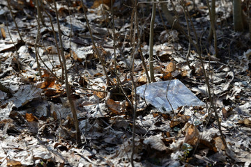 Garbage in the spring forest. The problem of ecology and pollution of nature