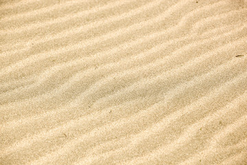 Fototapeta na wymiar Sand Background Texture