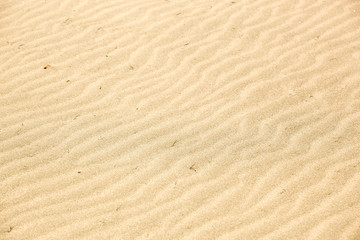 Sand Background Texture