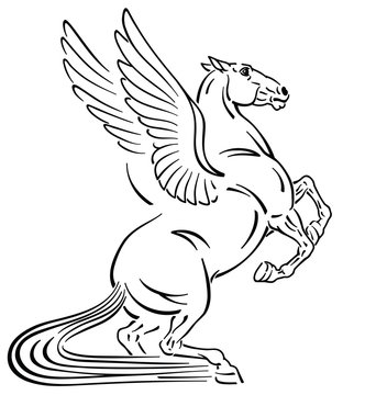 Pegasus mythological winged horse . Outline tattoo style vector illustration 
