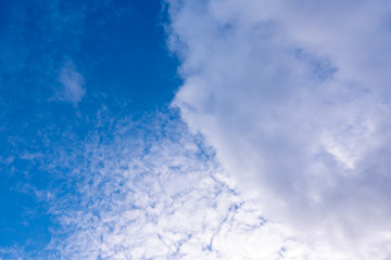 Blue sky in sunny day with white puffy clouds. Natural background