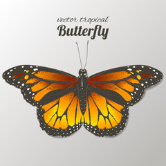 Vector butterflies. Hand drawn watercolor illustration. Isolated.