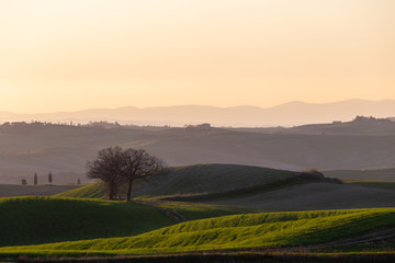 Beautiful view of Tuscany landscape hill at sunset, with mist and warm colors