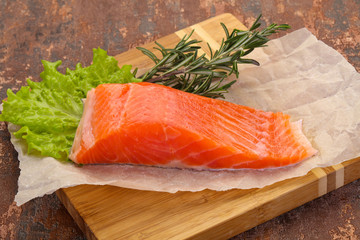 Piece of raw salmon