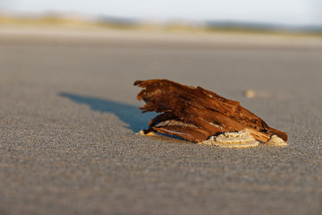 Sur la plage
