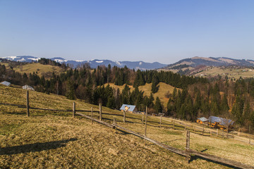 Beautiful landscape in forest Carpathian mountains