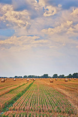 Fototapeta na wymiar Straw bales under dramatic clouds in summer.