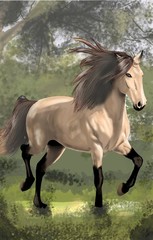 Obraz na płótnie Canvas Wild Horse