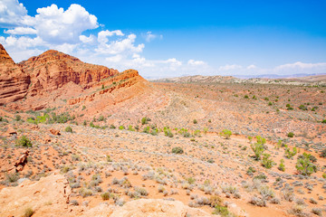 Red Cliffs Recreation Area, National Conservation Lands in Utah, USA