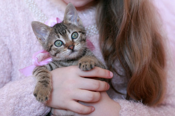 Little girl holding a kitten in hand