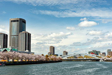 Fototapeta premium Office buildings along Okawa river in Osaka, Japan