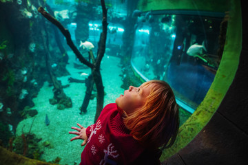 cute little girl watching fishes in a large aquarium
