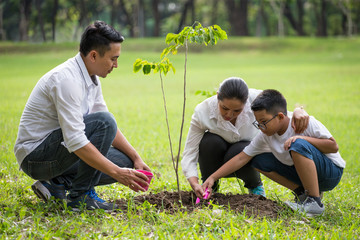 happy asian Family, parents and their children plant sapling tree together in park . father mother...