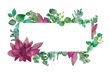 Watercolor frame of green and silver eucalyptus branches, with flowers and leaves of Burgundy amaranth isolated on white background. Botanical illustration of tropical, medicinal plants .