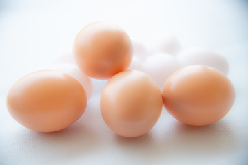 Group of eggs on white tone.