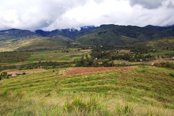 Fototapeta na wymiar village Papuan, Papua New Guinea