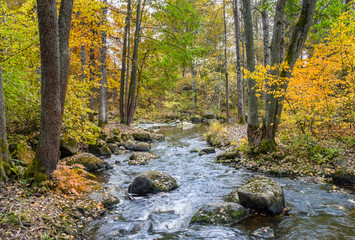 Obraz premium Beautiful autumn landscape with fall colors and flowing river at daylight in Finland