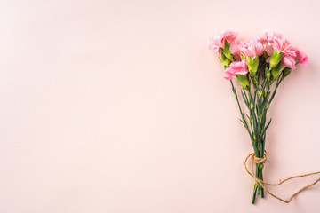 Naklejka na ściany i meble top view of carnation on pink background