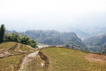 Plakat Sapa valley landscape, Vietnam