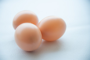 Group of eggs on white tone.