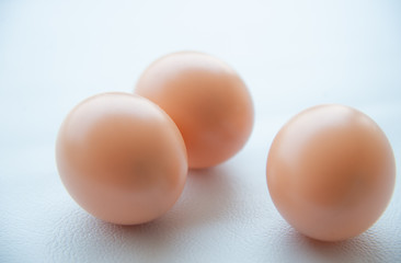 Group of eggs on white tone.
