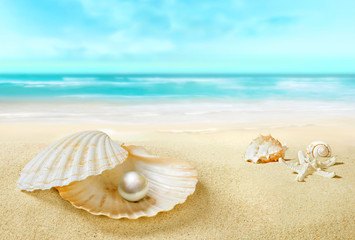 Fototapeta na wymiar Pearl in an open shell. Sandy tropical beach.