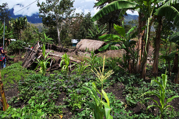 village, Papua New Guinea