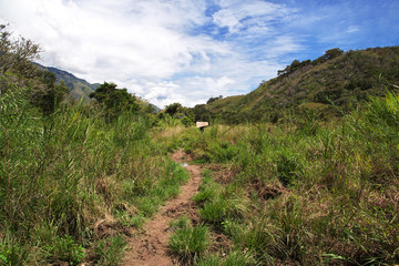 Fototapeta na wymiar village, Papua New Guinea