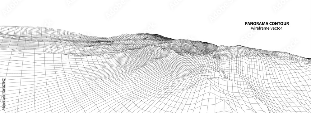 Wall mural 3d wireframe of contour swirl. abstract wireframe background. black and white wave