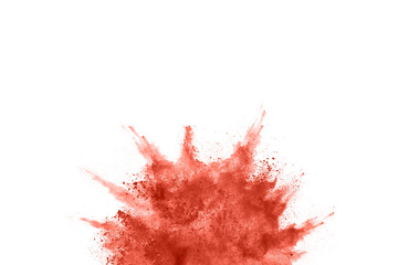 living coral color powder explosion on white background. Colored cloud. Colorful dust explode. Paint Holi.