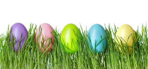 easter eggs in green grass