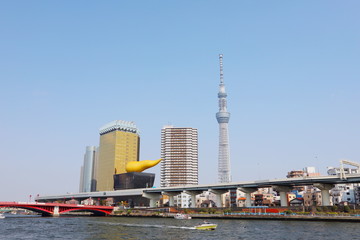 Naklejka premium 東京スカイツリーと桜
