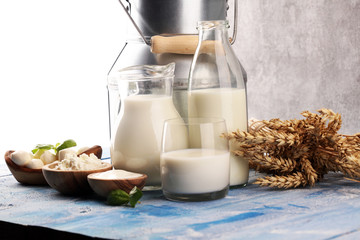 milk products. tasty healthy dairy products on a table. sour cream in a white bowl, cottage cheese...