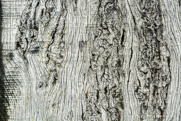 Wood board background texture