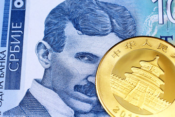 A close up image of a golden Chinese panda coin with a blue one hundred Serbian dinar bank note in macro