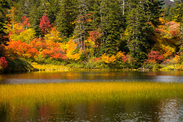 大雪山高原沼の秋