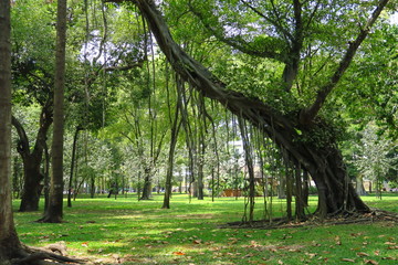 Parc à Saigon; Vietnam