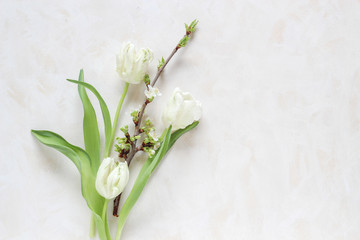 White tulips and tree branch with blooms on a bright background, flat lay style with a copy space