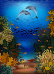 Underwater banner with dolphins, vector illustration