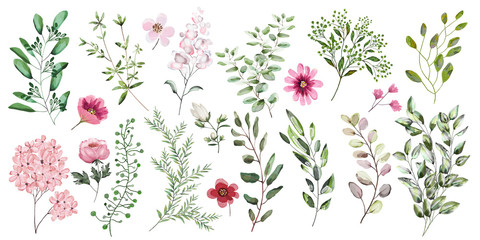 Watercolor illustration. Botanical collection. A set of wild and garden herbs, .decorative flowers. Leaves, flowers, branches and other natural elements. All figures are isolated on white background. - 261238582