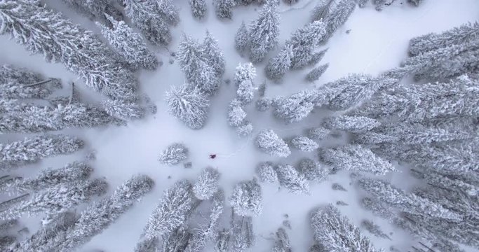 Aerial Birds-eye view of Hiker snowshoeing through Snowy Mountain Backcountry Forest, rotate CCW