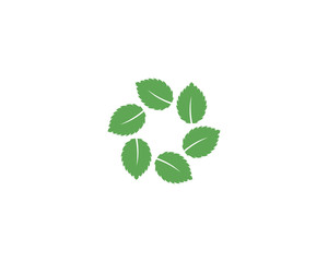 Fototapeta premium Mint leaf vector icon illustration design 