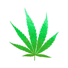 Glitter green cannabis leaf vector