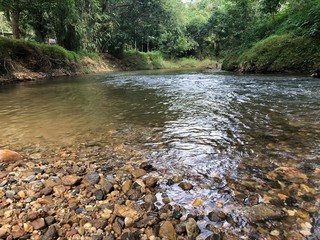 fast running river in the jungle with beautiful stones , clear water and tropical vegetation in Thailand in Phuket